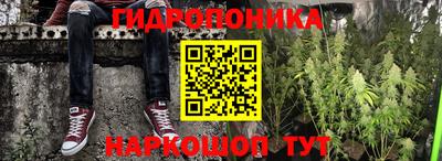эйфоретик Северобайкальск